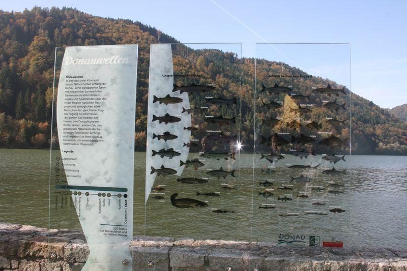 Fischlehrpfad Obermühl